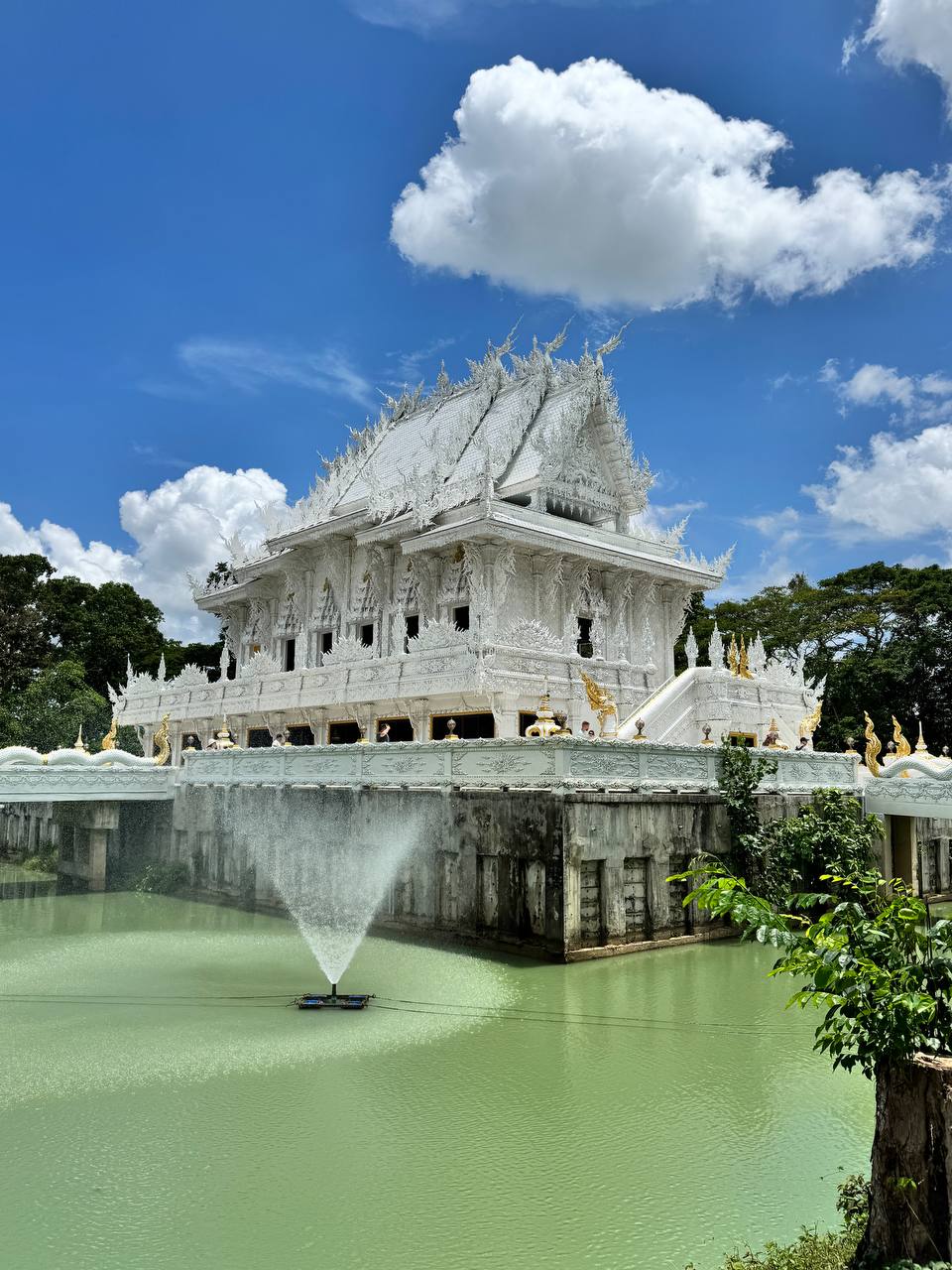 Glowing Plankton, Glass Bridge & White Temple