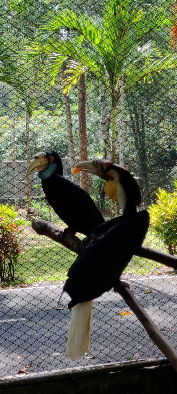 Khao Lak Safari
